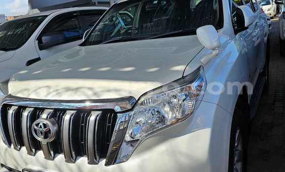 Comprar Usado Toyota Prado Branco Carro em Maputo em Maputo