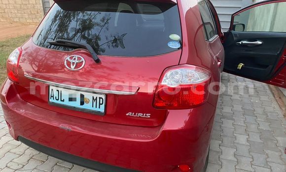 Buy Used Toyota Auris Red Car in Maputo in Maputo Buy Used Toyota Auris Red Car in Maputo in Maputo