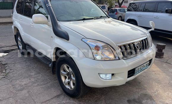 Comprar Novo Toyota Prado Branco Carro em Maputo em Maputo
