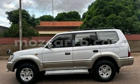 Buy Used Toyota Land Cruiser Prado Other Car in Maputo in Maputo Buy Used Toyota Land Cruiser Prado Other Car in Maputo in Maputo