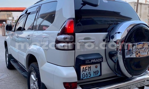 Tenga Tsaru Toyota Land Cruiser Chena Mota in Maputo in Maputo Tenga Tsaru Toyota Land Cruiser Chena Mota in Maputo in Maputo