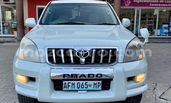 Tenga Tsaru Toyota Land Cruiser Chena Mota in Maputo in Maputo Tenga Tsaru Toyota Land Cruiser Chena Mota in Maputo in Maputo