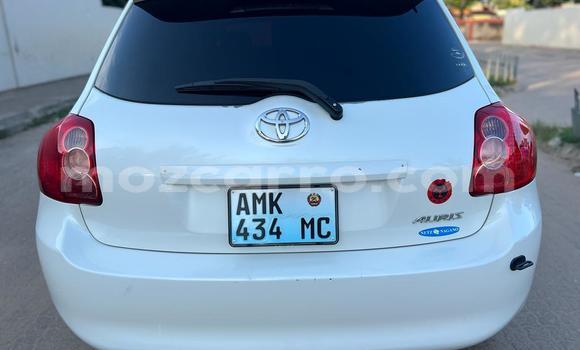 Tenga Tsaru Toyota Auris Chena Mota in Maputo in Maputo Tenga Tsaru Toyota Auris Chena Mota in Maputo in Maputo