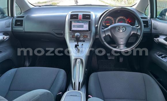 Tenga Tsaru Toyota Auris Chena Mota in Maputo in Maputo Tenga Tsaru Toyota Auris Chena Mota in Maputo in Maputo