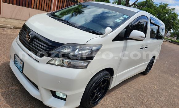 Comprar Usado Toyota Vellfire Branco Carro em Maputo em Maputo