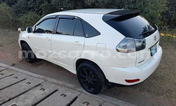 Tenga Tsaru Toyota Harrier Chena Mota in Maputo in Maputo Tenga Tsaru Toyota Harrier Chena Mota in Maputo in Maputo