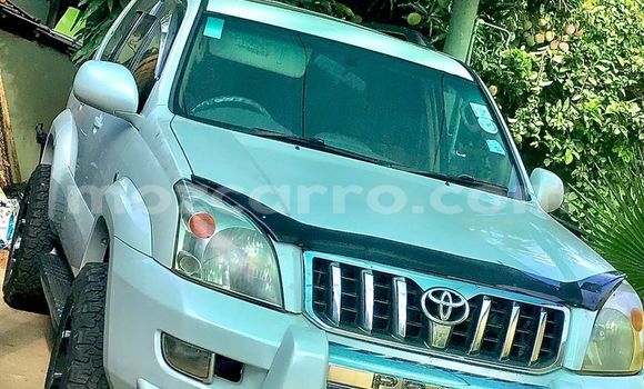 Comprar Novo Toyota Prado Branco Carro em Maputo em Maputo