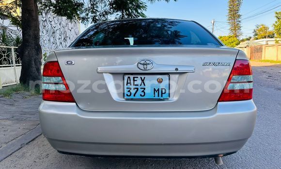 Buy Used Toyota Corolla Other Car in Maputo in Maputo Buy Used Toyota Corolla Other Car in Maputo in Maputo