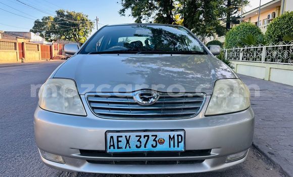 Buy Used Toyota Corolla Other Car in Maputo in Maputo Buy Used Toyota Corolla Other Car in Maputo in Maputo