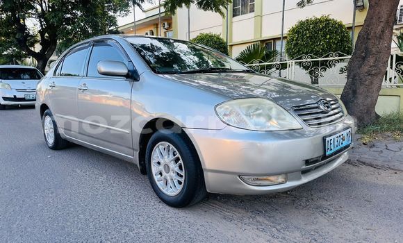 Buy Used Toyota Corolla Other Car in Maputo in Maputo Buy Used Toyota Corolla Other Car in Maputo in Maputo