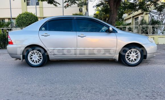 Buy Used Toyota Corolla Other Car in Maputo in Maputo Buy Used Toyota Corolla Other Car in Maputo in Maputo