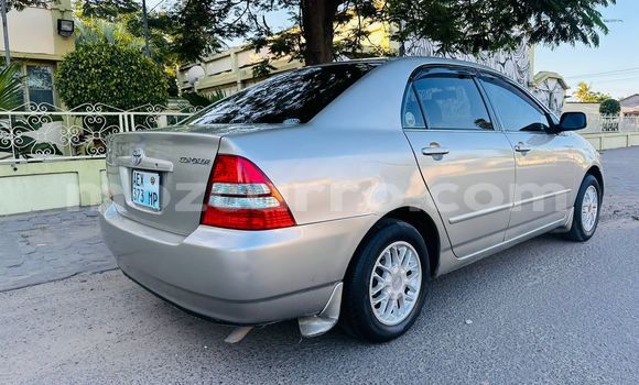 Buy Used Toyota Corolla Other Car in Maputo in Maputo Buy Used Toyota Corolla Other Car in Maputo in Maputo