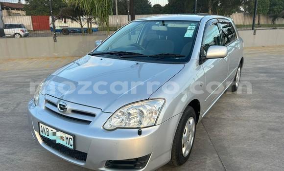 Buy Used Toyota Runx Other Car in Maputo in Maputo Buy Used Toyota Runx Other Car in Maputo in Maputo