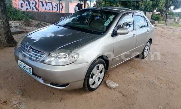 Nunua Ilio tumika Toyota Corolla Brown Gari ndani ya Maputo nchini Maputo