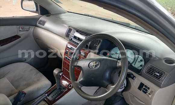 Comprar Usado Toyota Corolla Castanho Carro em Maputo em Maputo Comprar Usado Toyota Corolla Castanho Carro em Maputo em Maputo