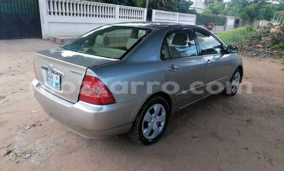 Comprar Usado Toyota Corolla Castanho Carro em Maputo em Maputo Comprar Usado Toyota Corolla Castanho Carro em Maputo em Maputo