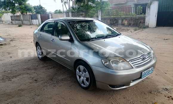 Comprar Usado Toyota Corolla Castanho Carro em Maputo em Maputo Comprar Usado Toyota Corolla Castanho Carro em Maputo em Maputo
