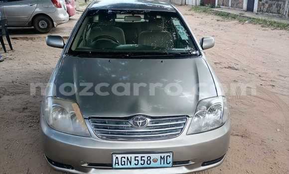 Comprar Usado Toyota Corolla Castanho Carro em Maputo em Maputo Comprar Usado Toyota Corolla Castanho Carro em Maputo em Maputo