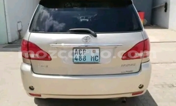 Tenga Tsaru Toyota Ipsum Zvimwe Mota in Maputo in Maputo Tenga Tsaru Toyota Ipsum Zvimwe Mota in Maputo in Maputo