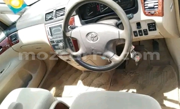 Tenga Tsaru Toyota Ipsum Zvimwe Mota in Maputo in Maputo Tenga Tsaru Toyota Ipsum Zvimwe Mota in Maputo in Maputo