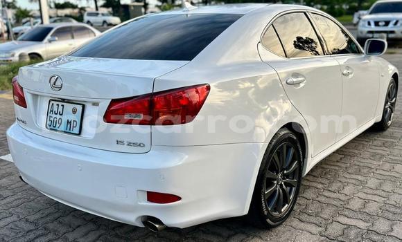 Buy Used Lexus IS White Car in Maputo in Maputo Buy Used Lexus IS White Car in Maputo in Maputo