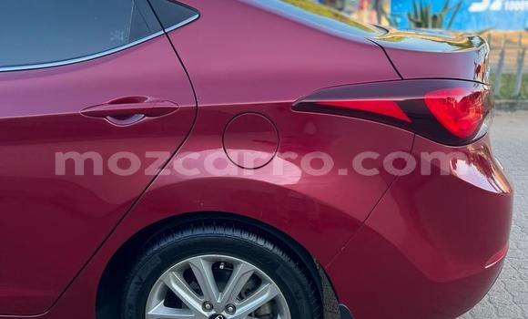 Buy Used Hyundai Elantra Red Car in Maputo in Maputo Buy Used Hyundai Elantra Red Car in Maputo in Maputo