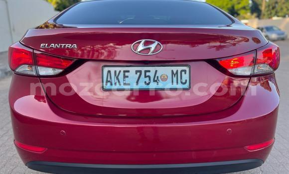 Buy Used Hyundai Elantra Red Car in Maputo in Maputo Buy Used Hyundai Elantra Red Car in Maputo in Maputo