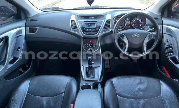 Buy Used Hyundai Elantra Red Car in Maputo in Maputo Buy Used Hyundai Elantra Red Car in Maputo in Maputo