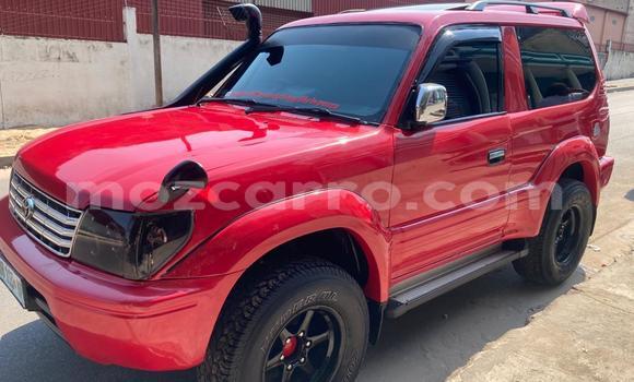 Tenga Tsaru Toyota Land Cruiser Prado Tsvuku Mota in Maputo in Maputo Tenga Tsaru Toyota Land Cruiser Prado Tsvuku Mota in Maputo in Maputo