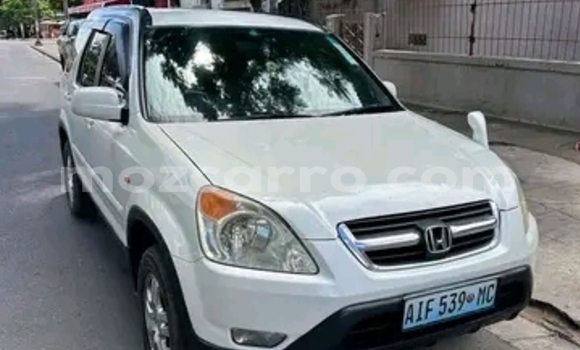 Buy Used Honda CR-V White Car in Maputo in Maputo Buy Used Honda CR-V White Car in Maputo in Maputo