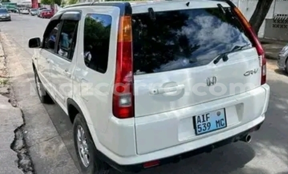Buy Used Honda CR-V White Car in Maputo in Maputo Buy Used Honda CR-V White Car in Maputo in Maputo