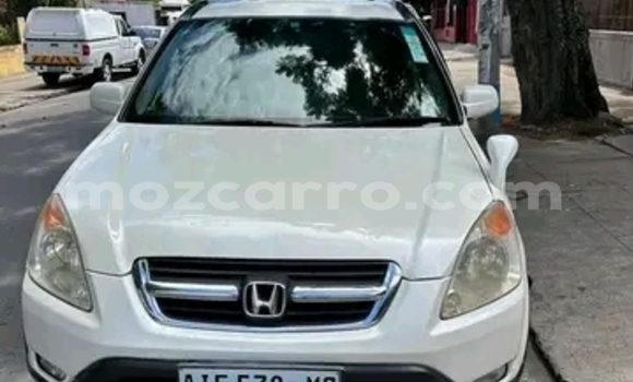 Buy Used Honda CR-V White Car in Maputo in Maputo Buy Used Honda CR-V White Car in Maputo in Maputo