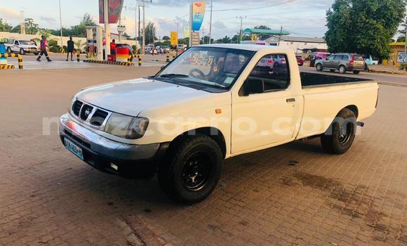 Tenga Tsaru Nissan Hardbody Chena Mota in Maputo in Maputo
