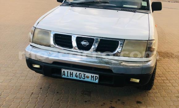 Buy Used Nissan Hardbody White Car in Maputo in Maputo Buy Used Nissan Hardbody White Car in Maputo in Maputo