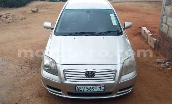 Comprar Usado Toyota Avensis Castanho Carro em Maputo em Maputo