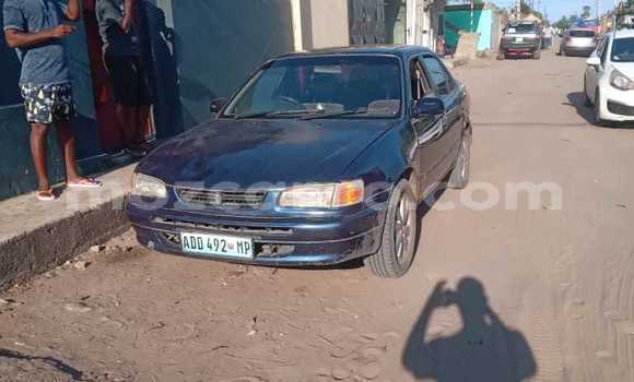 Comprar Usado Toyota Corolla Azul Carro em Maputo em Maputo