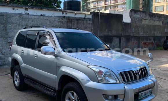 Nunua Ilio tumika Toyota Prado Nyingine Gari ndani ya Maputo nchini Maputo Nunua Ilio tumika Toyota Prado Nyingine Gari ndani ya Maputo nchini Maputo