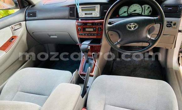 Tenga Tsaru Toyota Corolla Zvimwe Mota in Maputo in Maputo Tenga Tsaru Toyota Corolla Zvimwe Mota in Maputo in Maputo