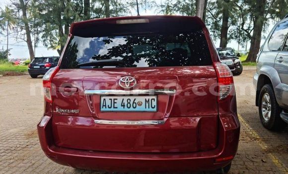 Tenga Tsaru Toyota Vanguard Zvimwe Mota in Maputo in Maputo Tenga Tsaru Toyota Vanguard Zvimwe Mota in Maputo in Maputo