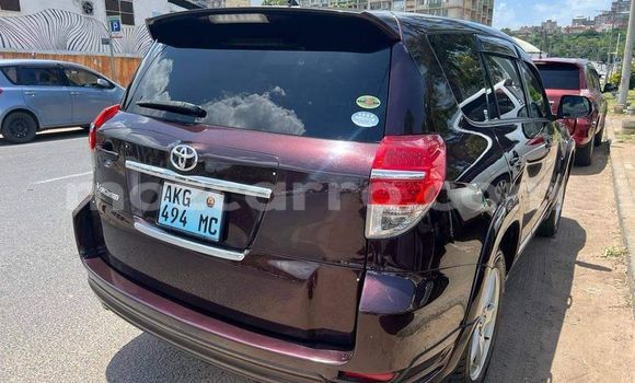 Tenga Tsaru Toyota Vanguard Zvimwe Mota in Maputo in Maputo Tenga Tsaru Toyota Vanguard Zvimwe Mota in Maputo in Maputo