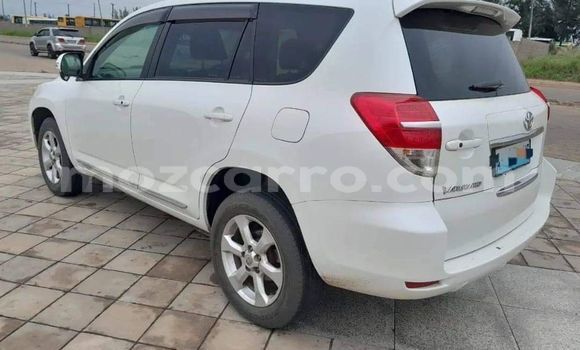 Tenga Tsaru Toyota Vanguard Zvimwe Mota in Maputo in Maputo Tenga Tsaru Toyota Vanguard Zvimwe Mota in Maputo in Maputo