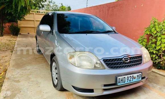 Tenga Tsaru Toyota Corolla Zvimwe Mota in Maputo in Maputo Tenga Tsaru Toyota Corolla Zvimwe Mota in Maputo in Maputo