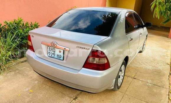 Tenga Tsaru Toyota Corolla Zvimwe Mota in Maputo in Maputo Tenga Tsaru Toyota Corolla Zvimwe Mota in Maputo in Maputo
