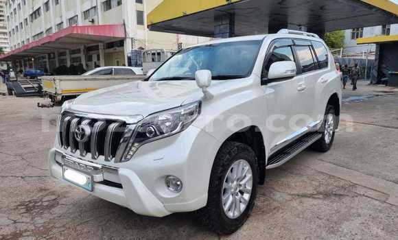 Buy Used Toyota Prado White Car in Maputo in Maputo