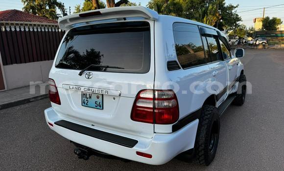 Tenga Tsaru Toyota Land Cruiser Chena Mota in Maputo in Maputo Tenga Tsaru Toyota Land Cruiser Chena Mota in Maputo in Maputo