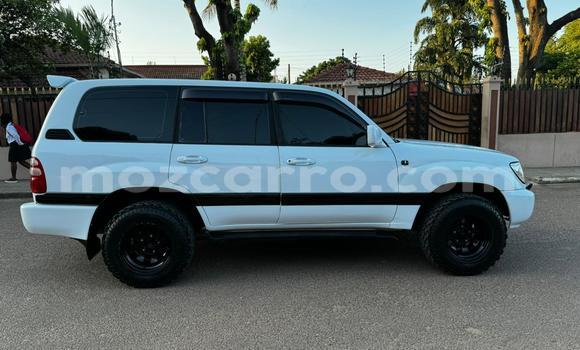 Tenga Tsaru Toyota Land Cruiser Chena Mota in Maputo in Maputo Tenga Tsaru Toyota Land Cruiser Chena Mota in Maputo in Maputo