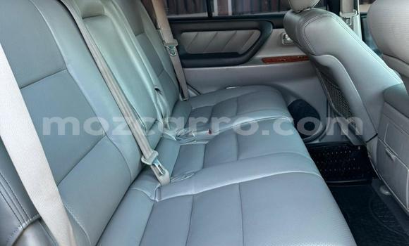 Tenga Tsaru Toyota Land Cruiser Chena Mota in Maputo in Maputo Tenga Tsaru Toyota Land Cruiser Chena Mota in Maputo in Maputo