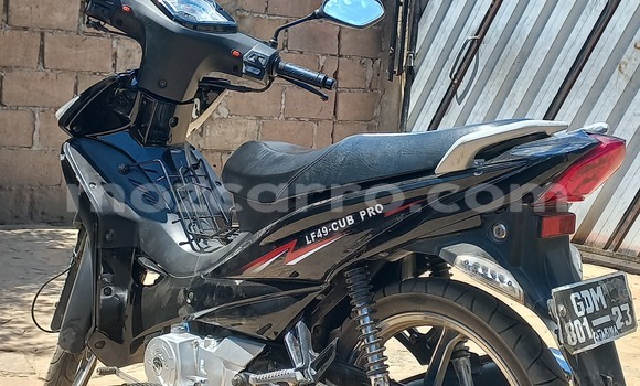 Comprar Usado Lifan LF110 Preto Moto em Tete em Tete Comprar Usado Lifan LF110 Preto Moto em Tete em Tete