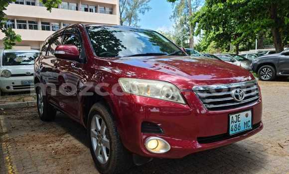 Buy Used Toyota Vanguard Red Car in Maputo in Maputo