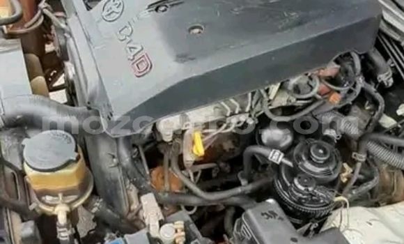 Tenga Tsaru Toyota Hilux Chena Mota in Maputo in Maputo Tenga Tsaru Toyota Hilux Chena Mota in Maputo in Maputo